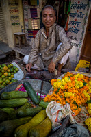 Marigolds, Udaipur